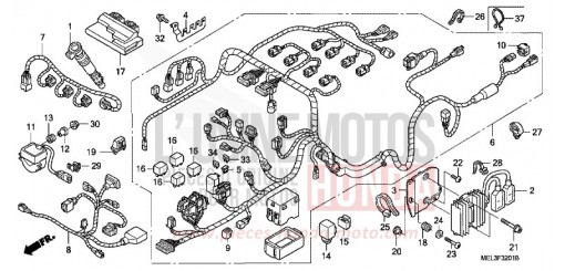 FAISCEAU DES FILS (CBR1000RR6/7) CBR1000RR6 de 2006